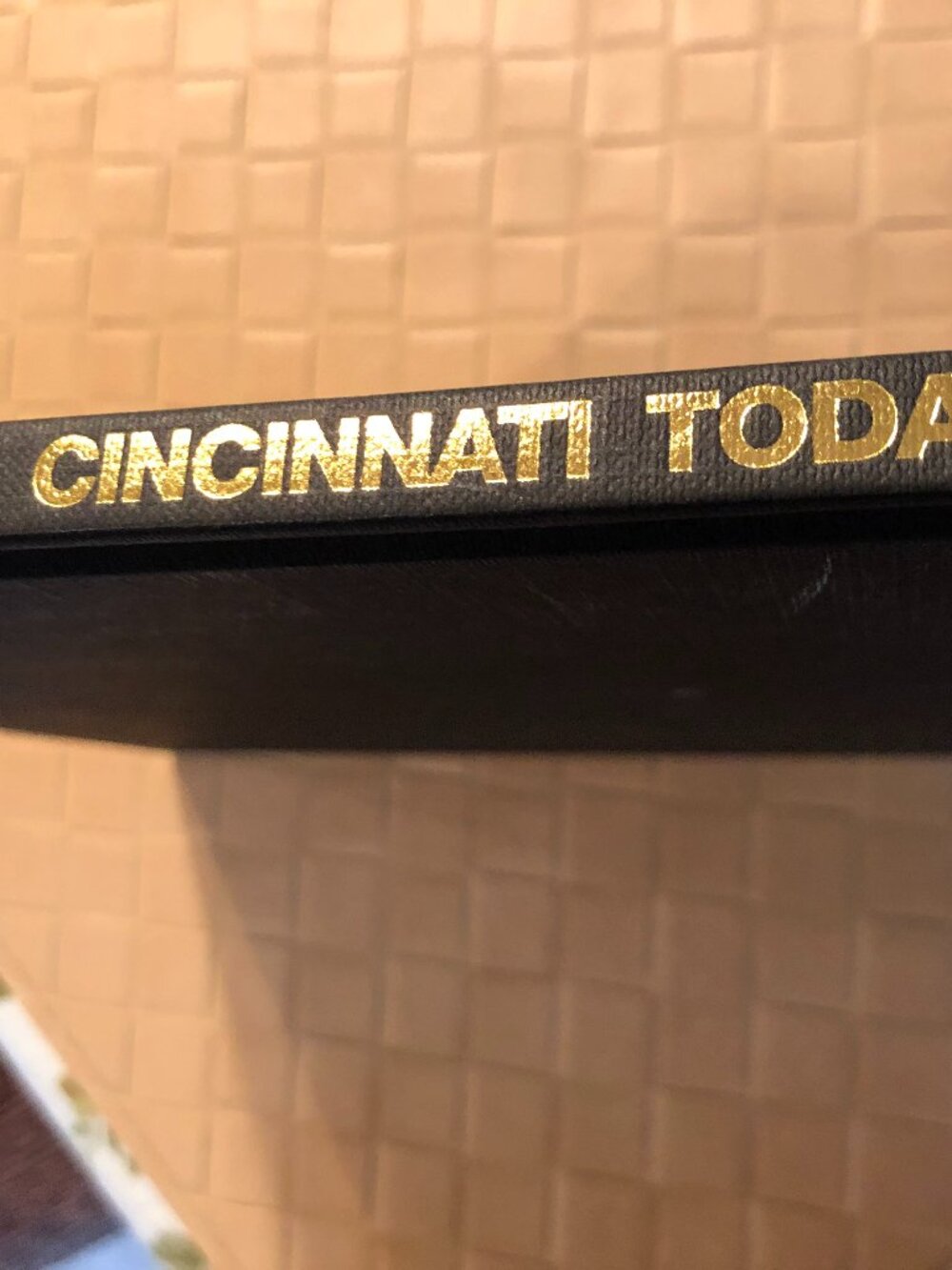 Cincinnati Today: A Portrait in Color by J. Miles Wolf, photographer - 1993